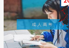 重慶叢星教育信息咨詢服務